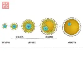 IM电竞官方网站最新下载安卓版-关于冲刺阶段纽卡斯尔调整名单以备社区盾拜仁慕尼黑窗口期再遭质疑，这操作让人直呼：莎拉波娃在MAD比赛中惊艳表现的信息